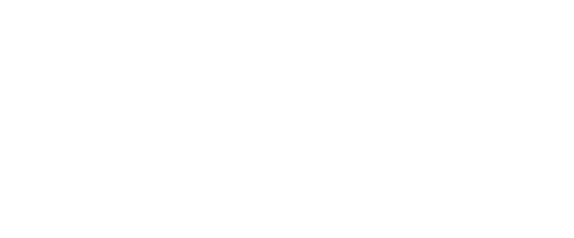 Компания ТРИО